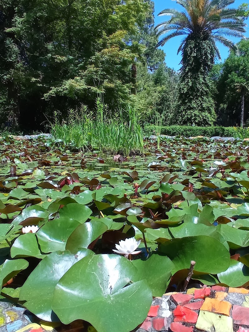 Sokhumi Botanical Garden - Sochumi -  - booked ai