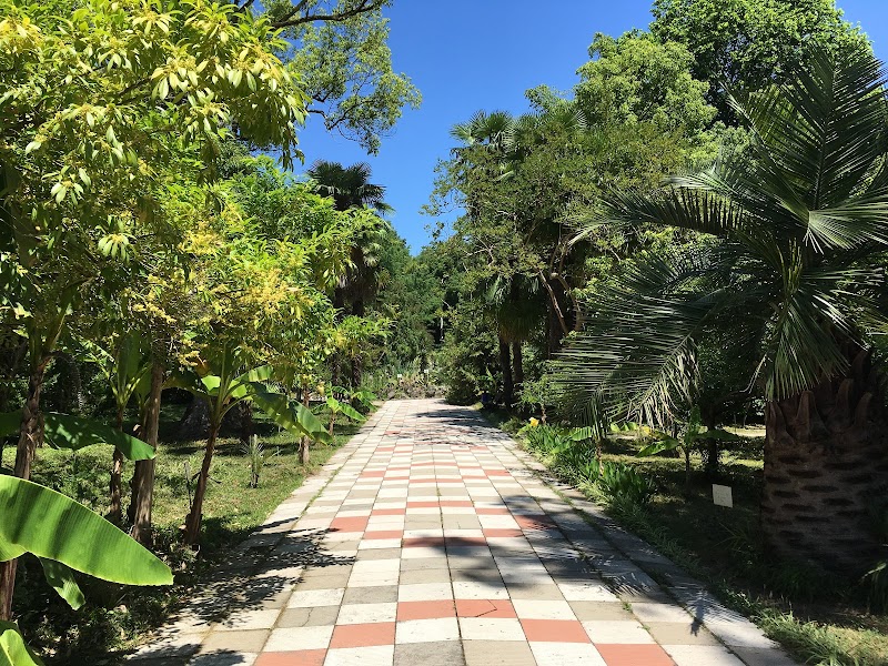 Sokhumi Botanical Garden - Sochumi -  - booked ai