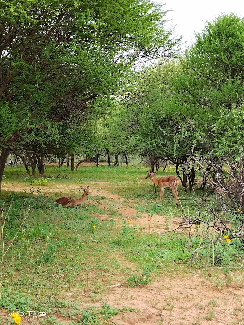 Explore the Gaborone Game Reserve - Gaborone - Botswana - booked ai