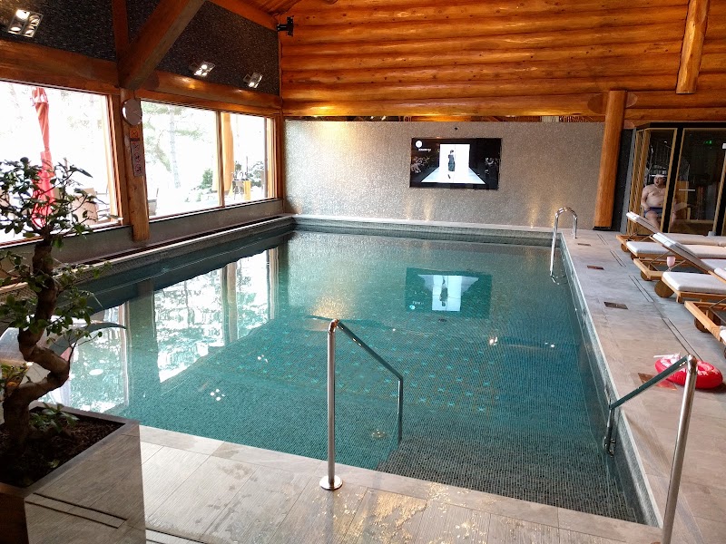 Geležinis Vilkas - Trakų r. sav. - Lithuania - booked ai