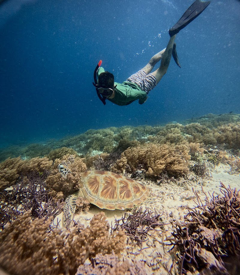 Snorkeling at Gili Trawangan - Gili Trawangan - Indonesia - booked ai
