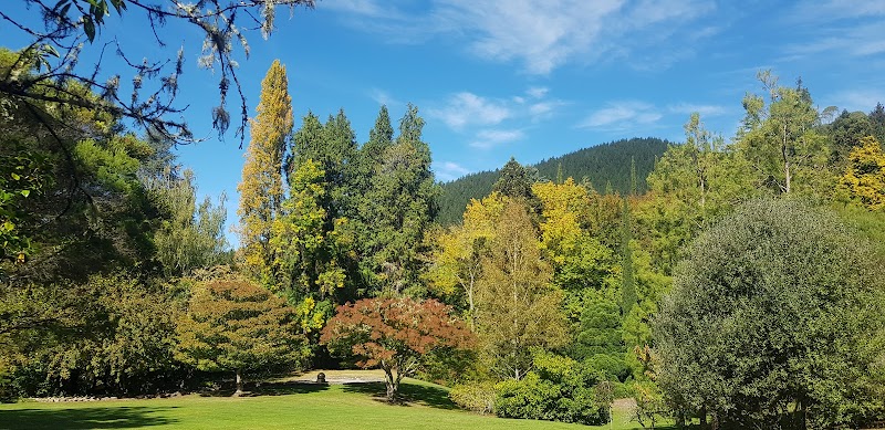 Explore Eastwoodhill Arboretum - Ngatapa - New Zealand - booked ai
