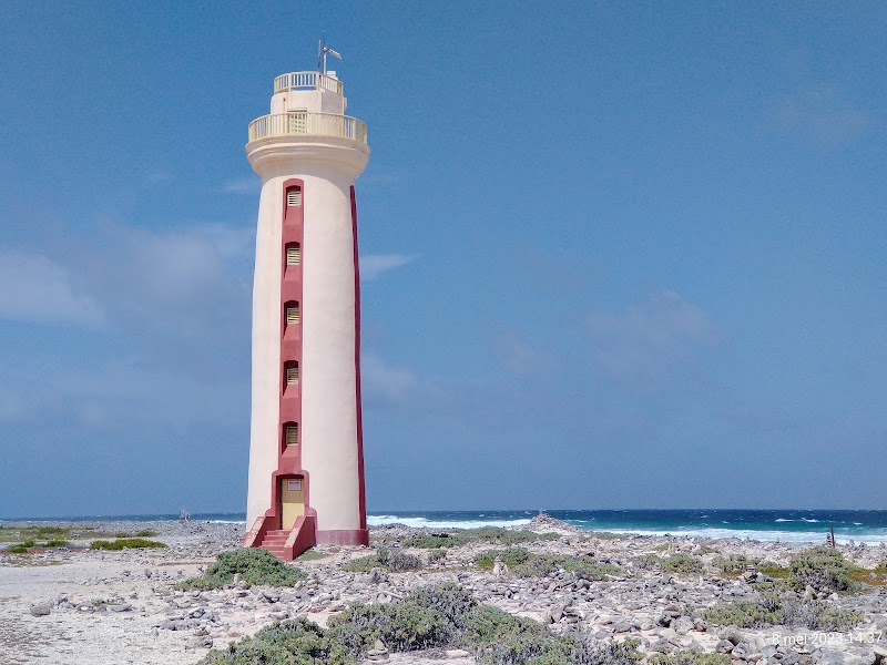 Lighthouse Bonaire: A Beacon of History and Adventure - Kralendijk - Caribbean Netherlands - booked ai