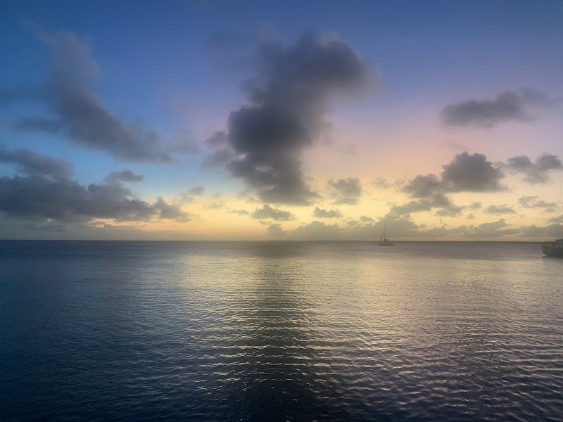 Bon Sea Semi Submarine Adventure - Kralendijk - Caribbean Netherlands - booked ai