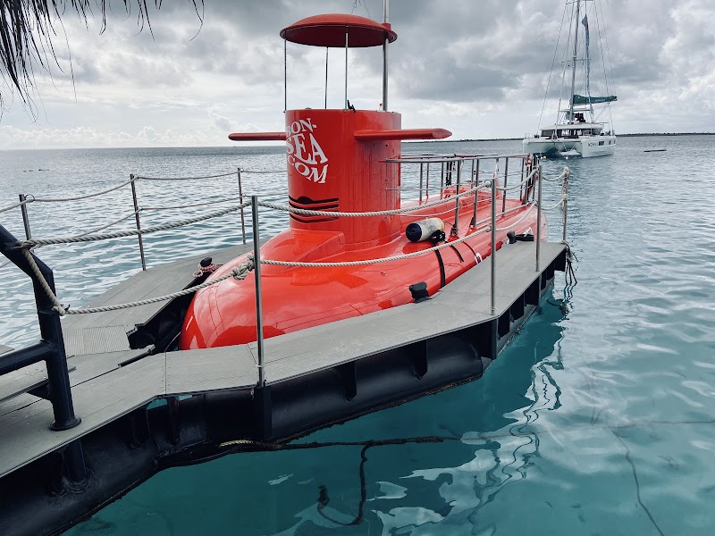 Bon Sea Semi Submarine Adventure - Kralendijk - Caribbean Netherlands - booked ai