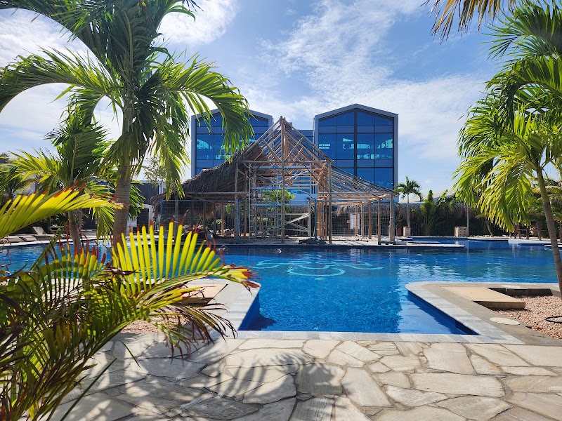 Delfins Beach Resort Bonaire Tapestry Collection by Hilton Kralendijk - Kralendijk - Caribbean Netherlands - booked ai