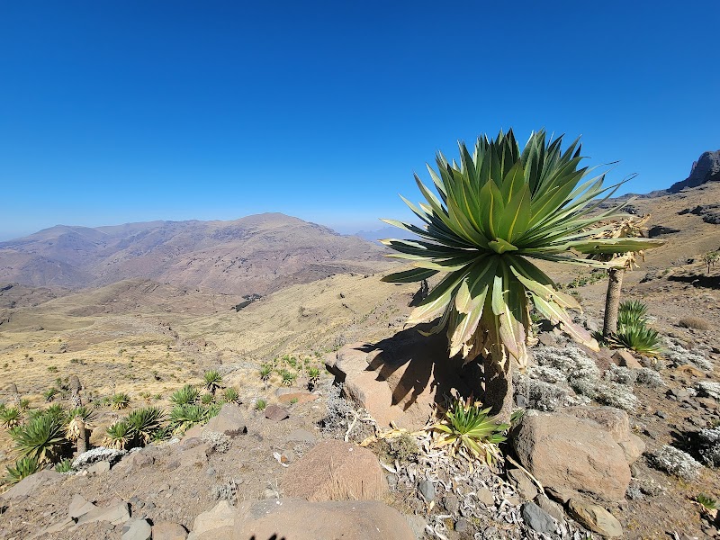 Take a trip to the Simien Mountains National Park - Debark - Ethiopia - booked ai