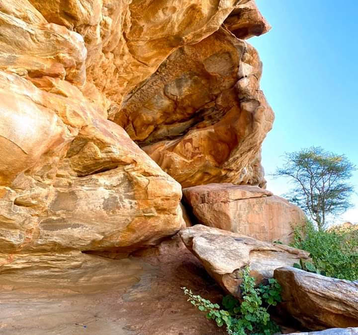 Discover Laas Geel with Tour Safaris: A Must-Visit Destination - Hargeisa - Somalia - booked ai