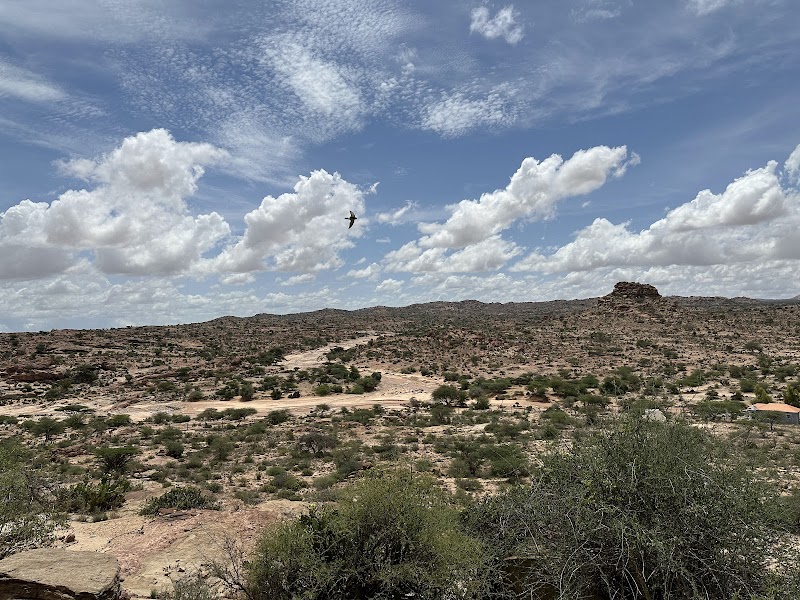 Discover Laas Geel with Tour Safaris: A Must-Visit Destination - Hargeisa - Somalia - booked ai