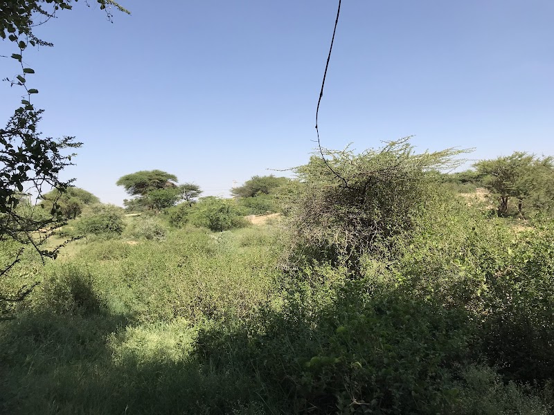 Isha Gobka - Hargeisa - Somalia - booked ai