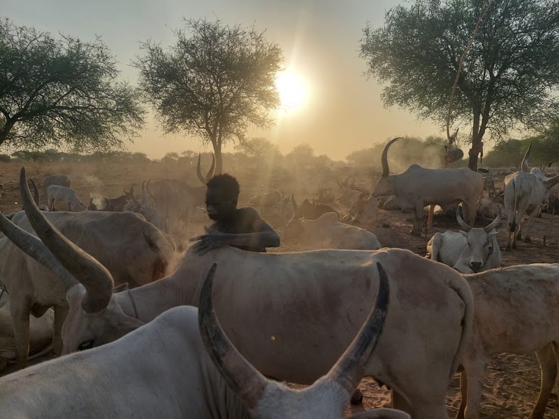 Juba Tours - Juba - South Sudan - booked ai