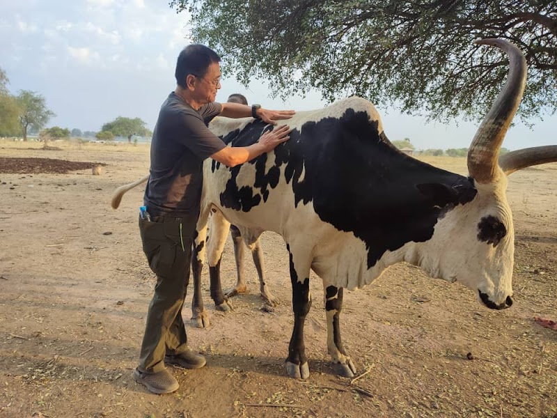 Juba Tours - Juba - South Sudan - booked ai