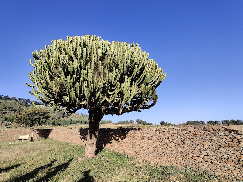 Dungur Palace: The Queen of Sheba's Historic Residence - Aksum - Ethiopia - booked ai