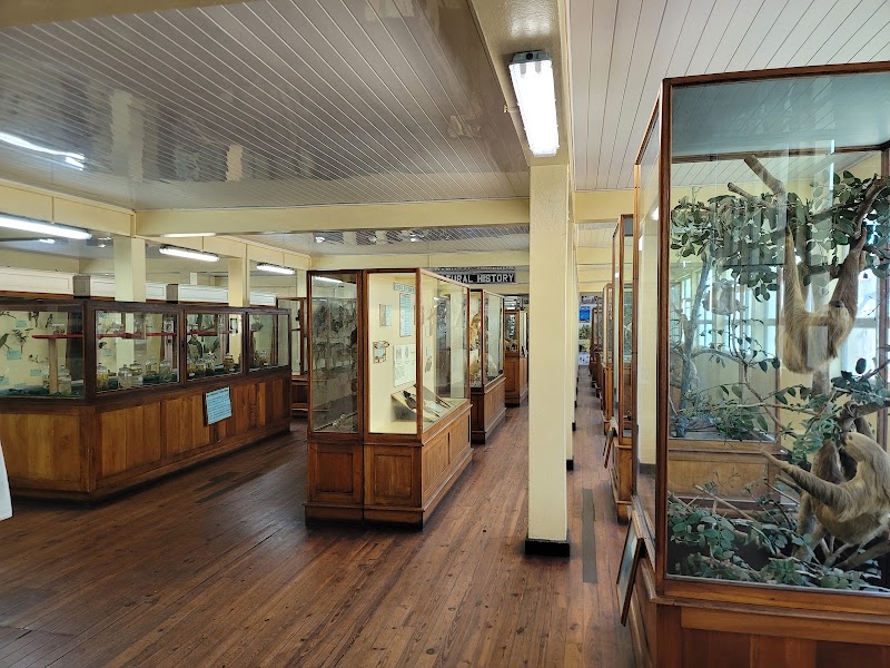 Guyana National Museum - Georgetown - Guyana - booked ai