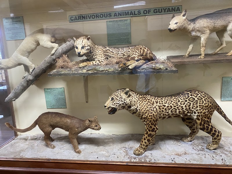 Guyana National Museum - Georgetown - Guyana - booked ai