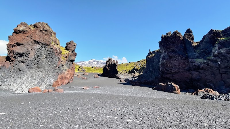 Whale Watching Tours Grundarfjörður - Grundarfjörður - Iceland - booked ai