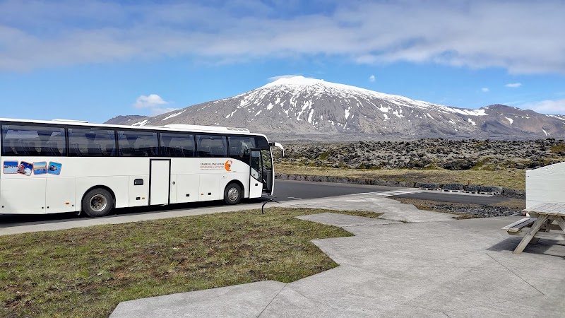 Whale Watching Tours Grundarfjörður - Grundarfjörður - Iceland - booked ai