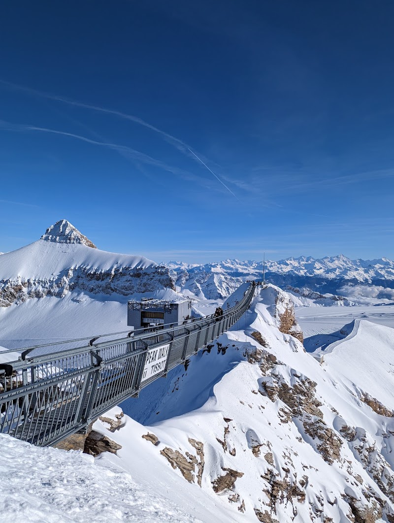 Exploring Glacier 3000 - Ormont-Dessus - Switzerland - booked ai