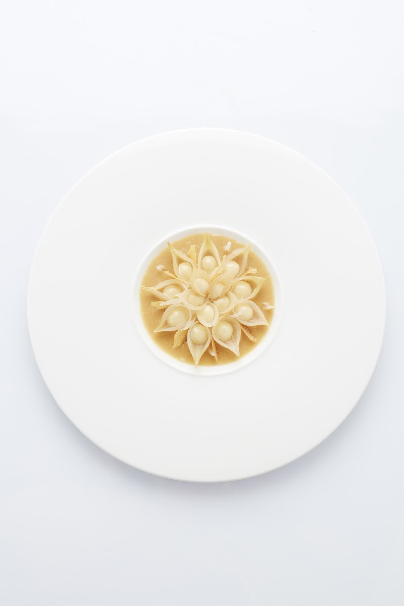 Vrijmoed - Gent - Belgium - booked ai