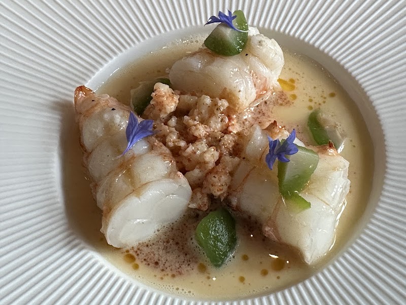 Oak - Gent - Belgium - booked ai