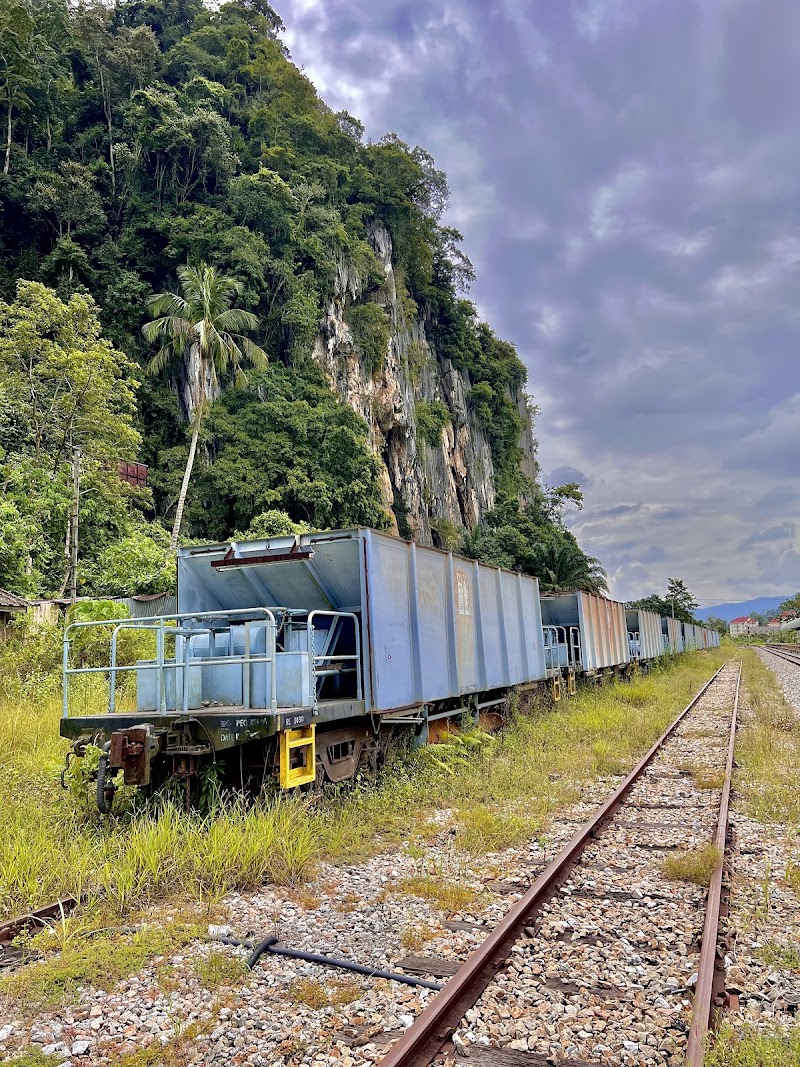 Visit Taman Negara Sungai Relau - Gua Musang - Malaysia - booked ai