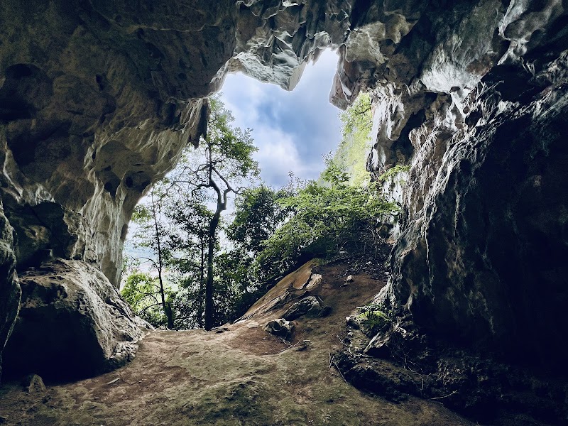 Visit Taman Negara Sungai Relau - Gua Musang - Malaysia - booked ai