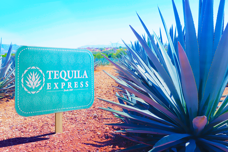 Tour the Tequila Express to the town of Tequila - Guadalajara - Mexico - booked ai
