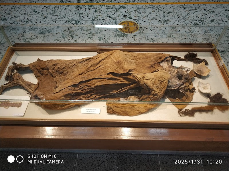 Exploring the Treasures of Karaman Museum - Karaman - Türkiye - booked ai