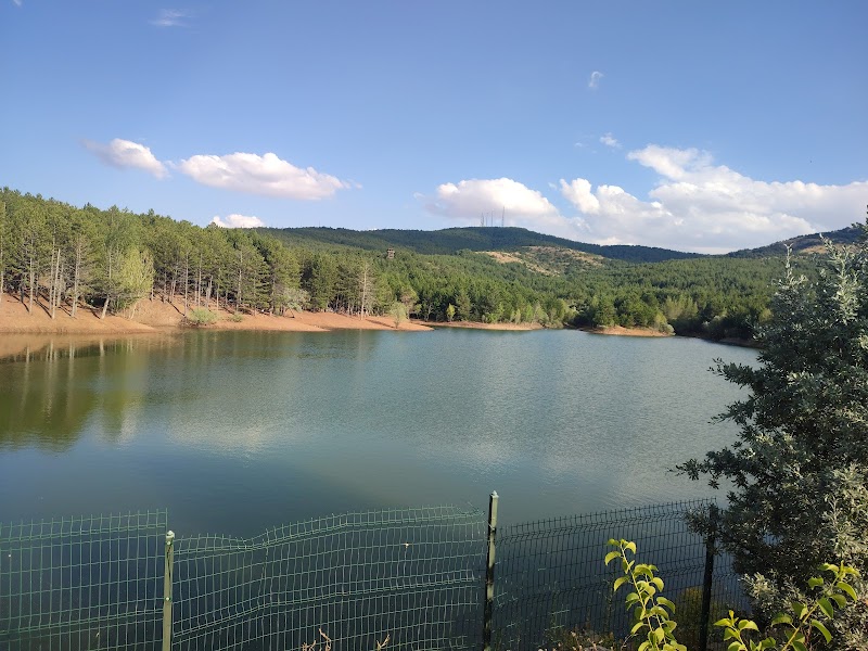 Yozgat Pine Grove National Park - Yozgat - Türkiye - booked ai