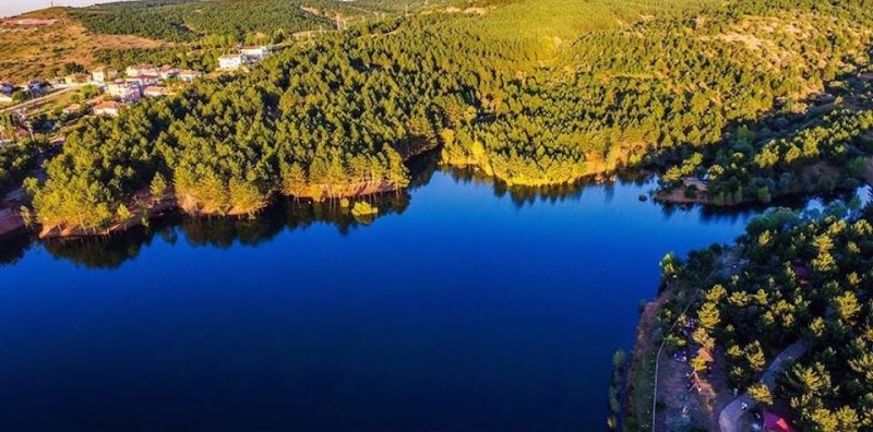 Yozgat Pine Grove National Park - Yozgat - Türkiye - booked ai