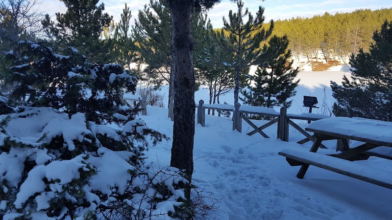 Yozgat Pine Grove National Park - Yozgat - Türkiye - booked ai