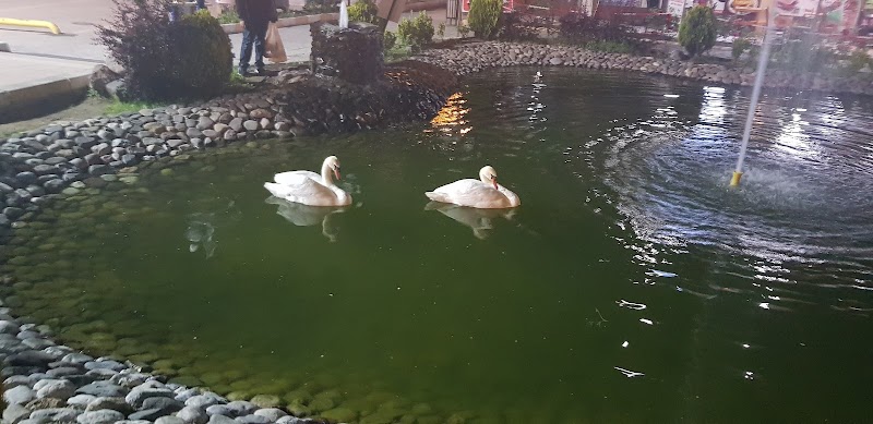 Kuğulu Park - Yozgat - Türkiye - booked ai