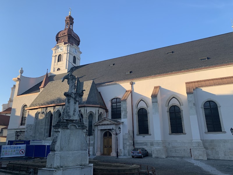 Visit the Basilica of Győr (Cathedral of the Virgin Mary) - Győr - Hungary - booked ai