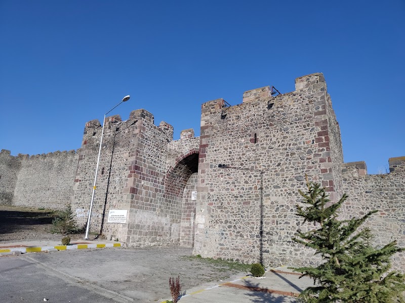 Ardahan Castle: A Historical Fortress in Ardahan - Ardahan - Türkiye - booked ai