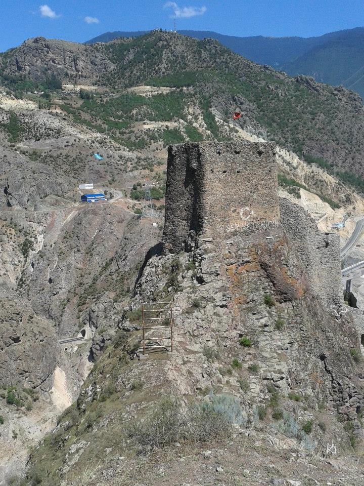 Artvin Castle: A Historical Marvel in the Heart of Artvin - Artvin - Türkiye - booked ai