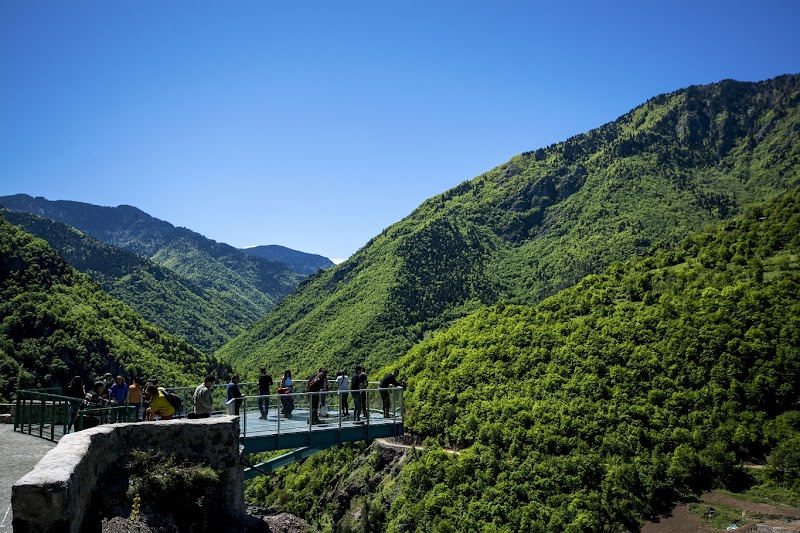 Exploring the Natural Beauty of Hatila Valley National Park - Artvin - Türkiye - booked ai