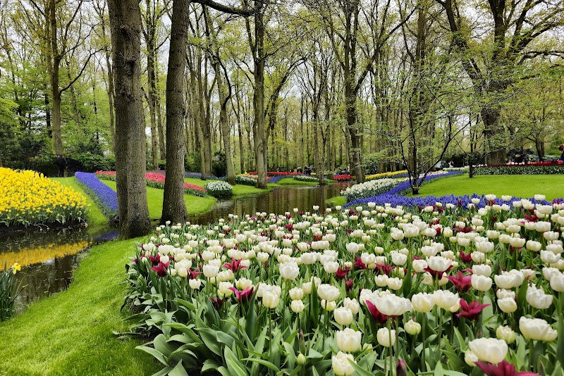 Keukenhof Gardens - Lisse - Netherlands - booked ai