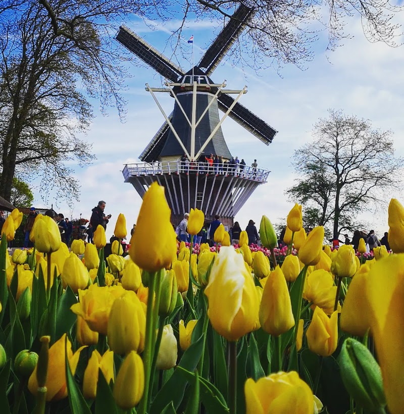 Keukenhof Gardens - Lisse - Netherlands - booked ai
