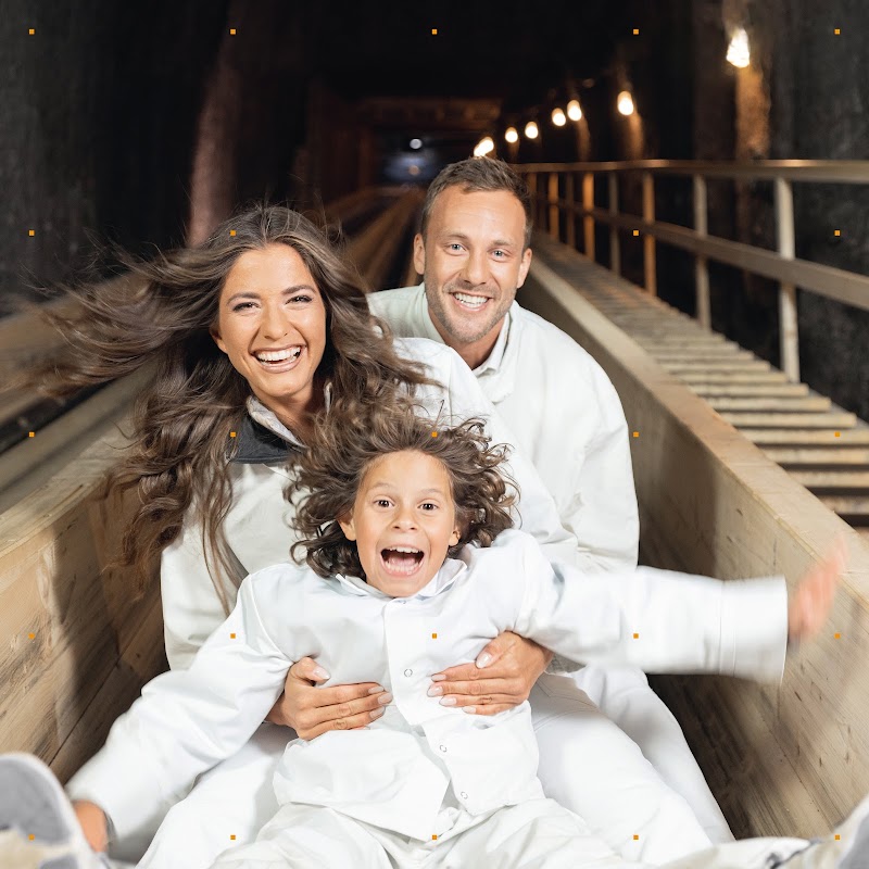 Explore the Hallstatt Salt Mine - Hallstatt - Austria - booked ai