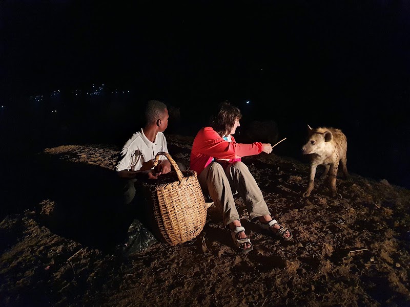 Feeding Hyenas at the Hyena Man Show - Harar - Ethiopia - booked ai