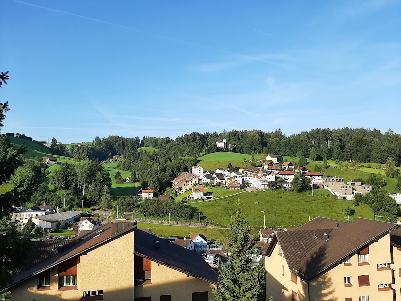 Herisau Old Town Walking Tour - Herisau - Switzerland - booked ai