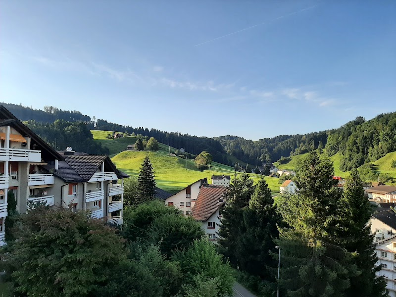 Herisau Old Town Walking Tour - Herisau - Switzerland - booked ai