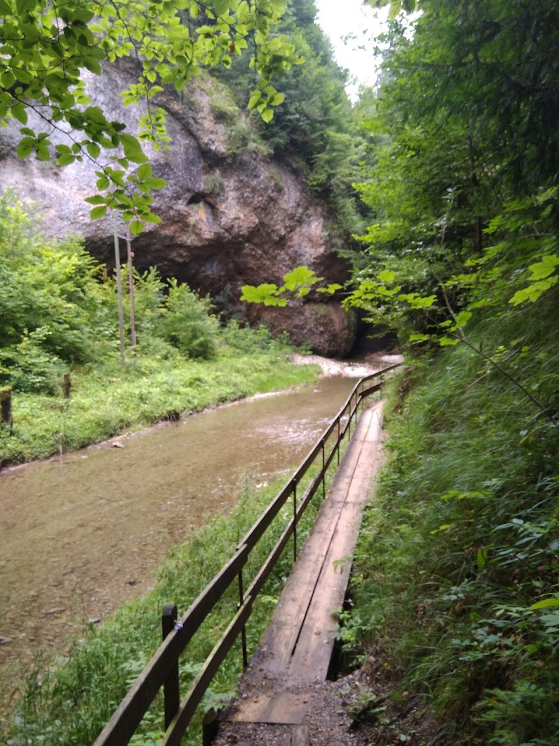 Hiking on the Hundwiler Höhe - Herisau - Switzerland - booked ai