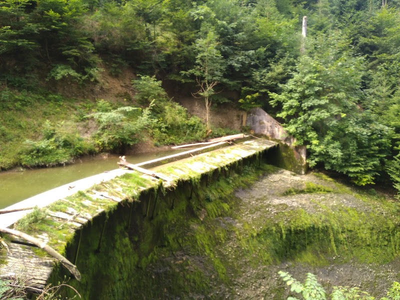 Hiking on the Hundwiler Höhe - Herisau - Switzerland - booked ai
