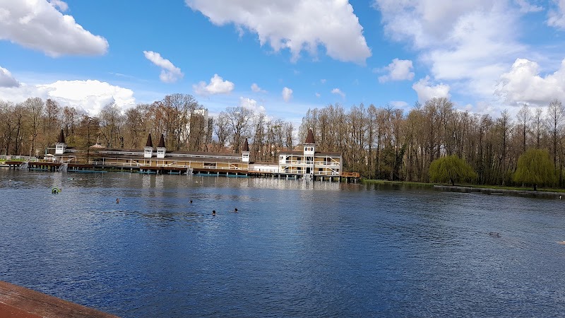 Thermal Lake of Hévíz - Hévíz - Hungary - booked ai
