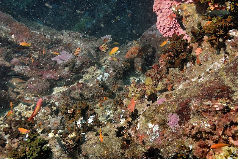 Hikkaduwa Beach - Hikkaduwa - Sri Lanka - booked ai