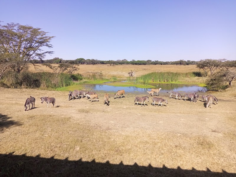 Visit Mukuvisi Woodlands - Harare - Zimbabwe - booked ai