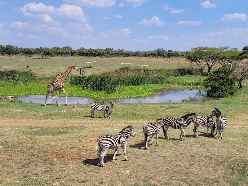 Visit Mukuvisi Woodlands - Harare - Zimbabwe - booked ai