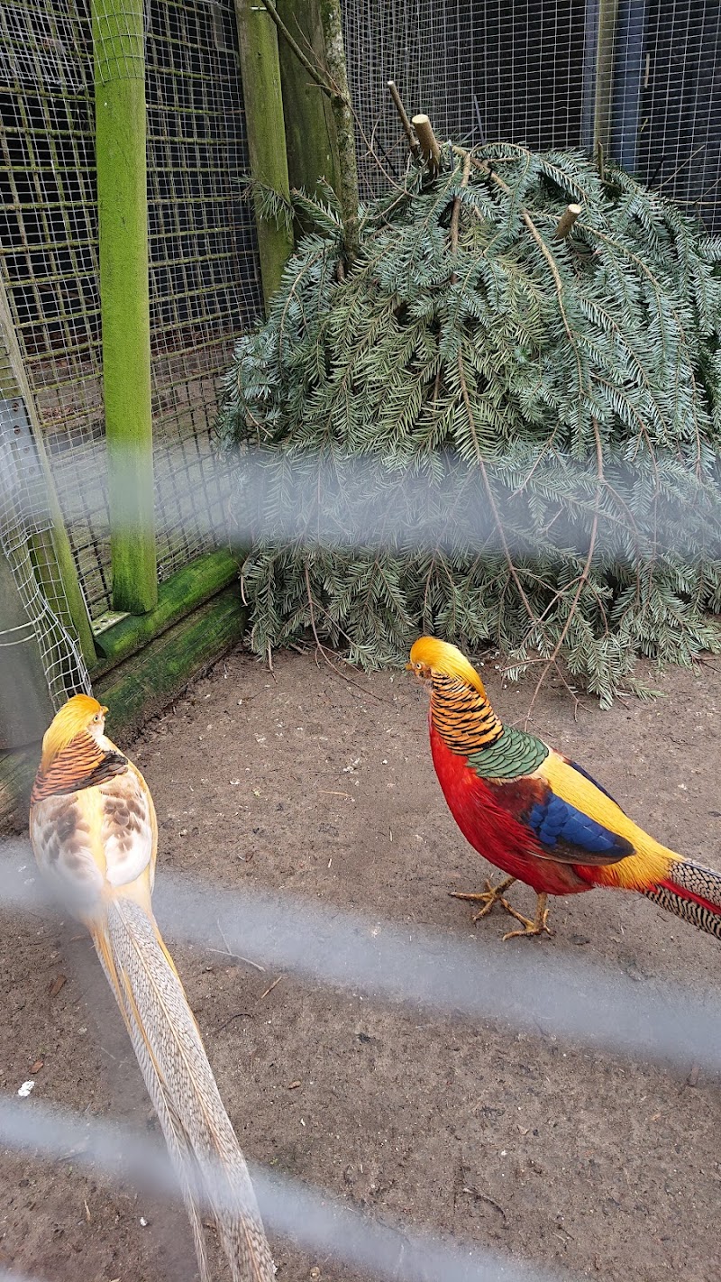 Hjørring Tierpark (Hjørring Zoo & Botanical Garden) - Hjørring - Denmark - booked ai