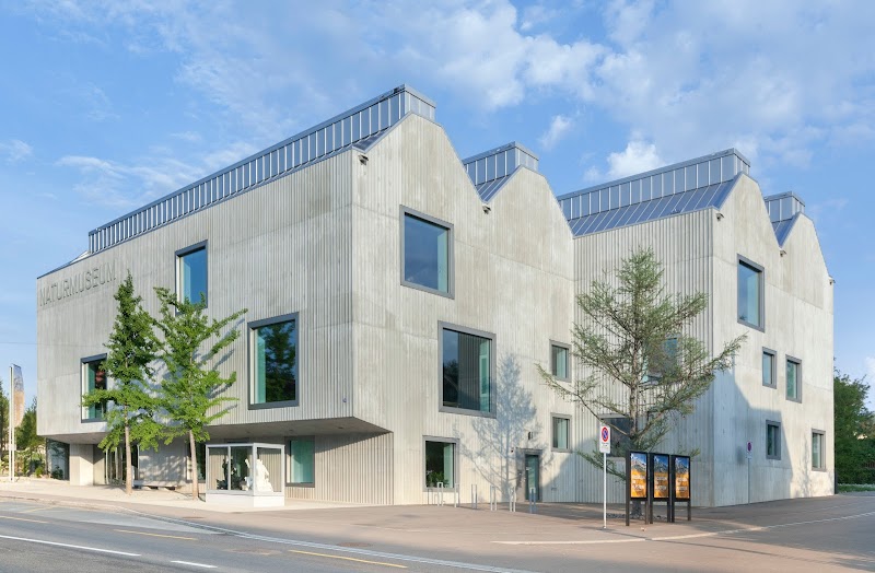 Explore the NATUR Museum Rheintal - St. Gallen - Switzerland - booked ai
